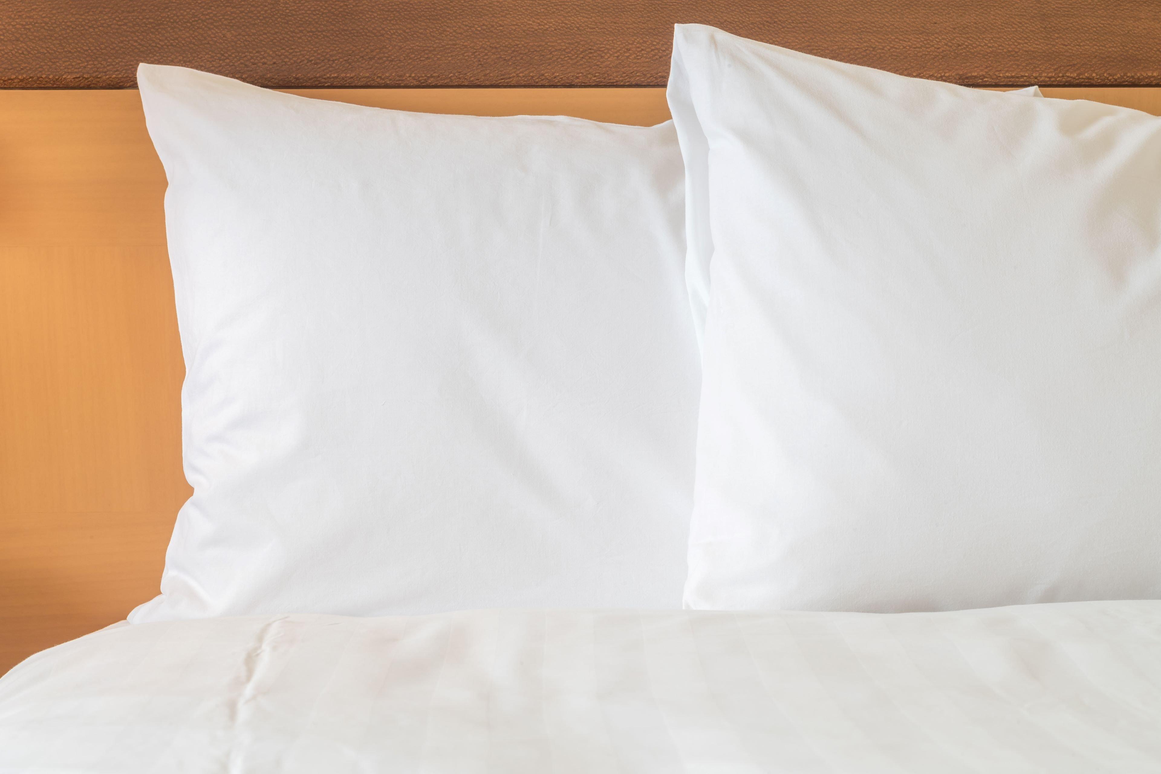Holiday Inn Express Hotel & Suites Raleigh North - Wake Forest By Ihg Eksteriør billede